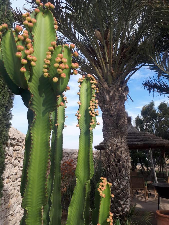 La Maison D'Helene Essaouira Al Ghar Εξωτερικό φωτογραφία